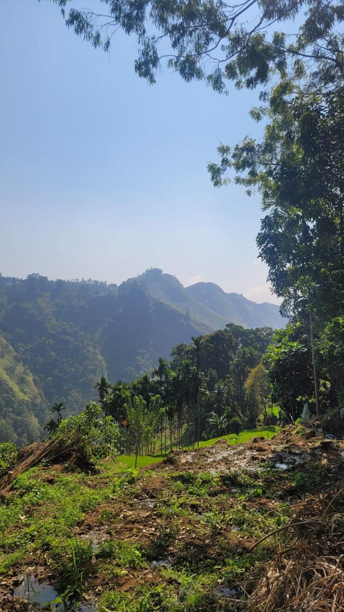 Forest Rawana Homestay Ella Zewnętrze zdjęcie