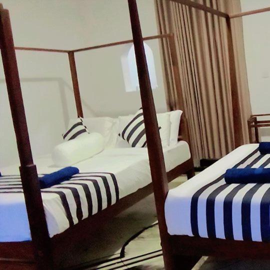 Forest Rawana Homestay Ella Zewnętrze zdjęcie
