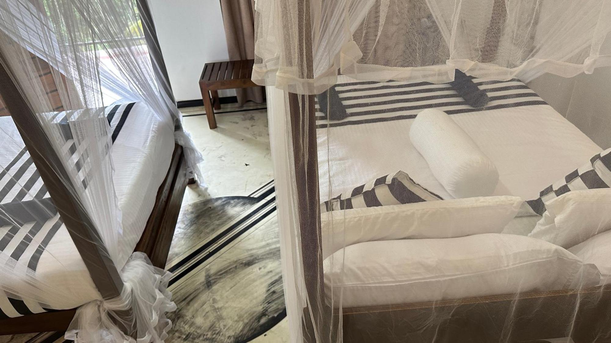 Forest Rawana Homestay Ella Pokój zdjęcie