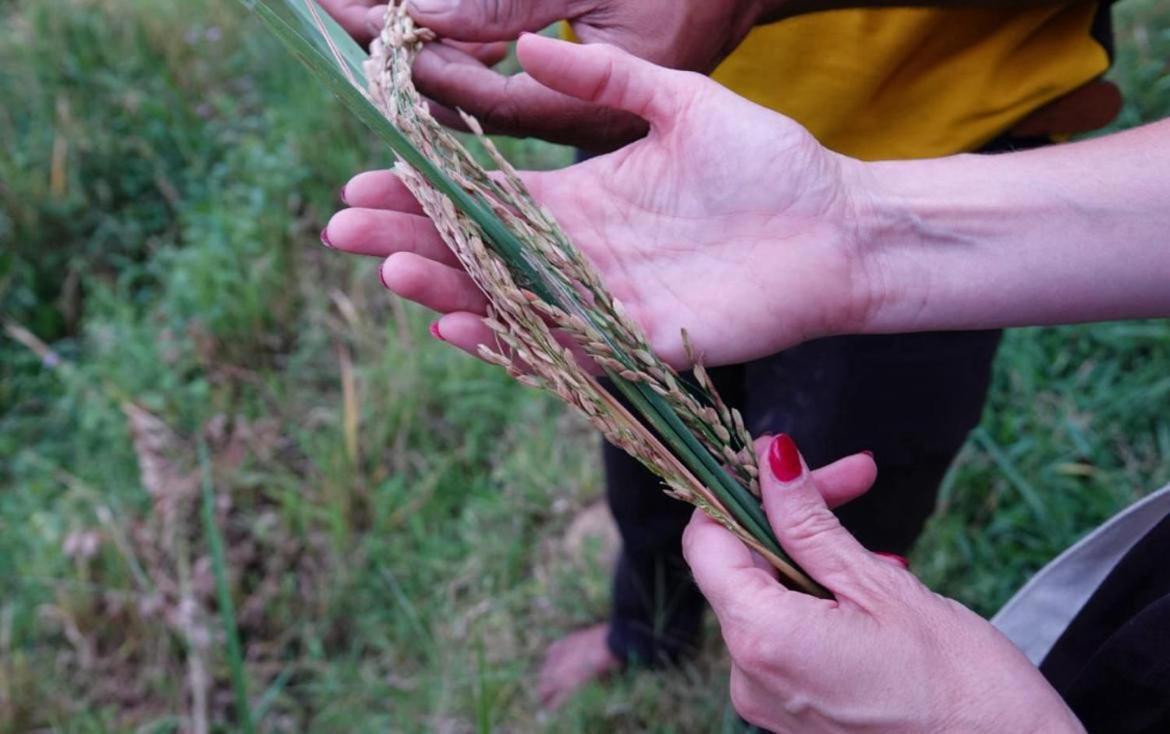 Forest Rawana Homestay Ella Zewnętrze zdjęcie