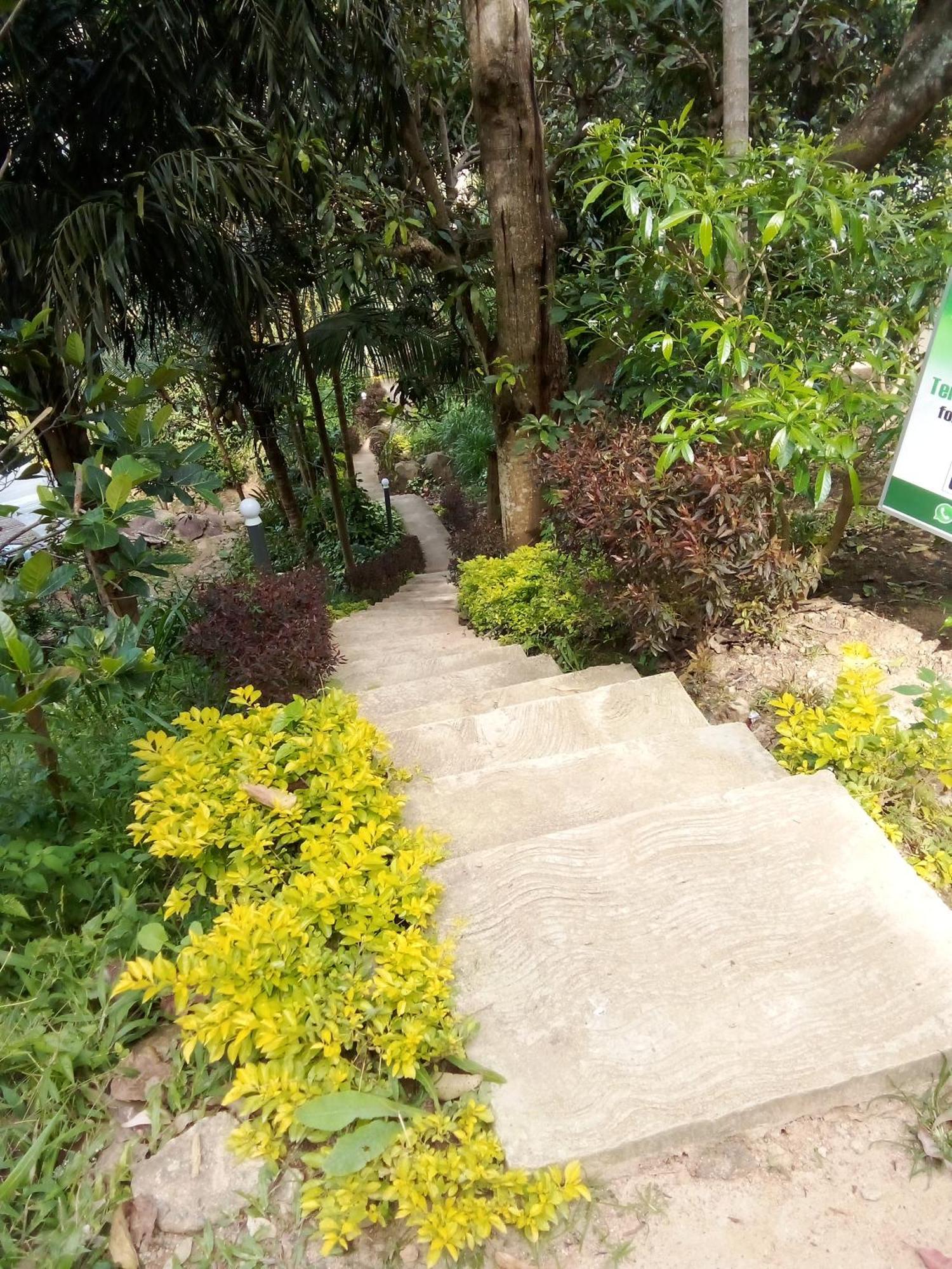 Forest Rawana Homestay Ella Zewnętrze zdjęcie